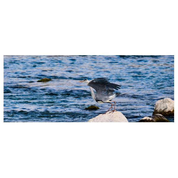 PHOTO84, CLUB, 84 , LUBERON